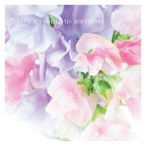 p15 sweet peas have a fabulous birthday dyson design